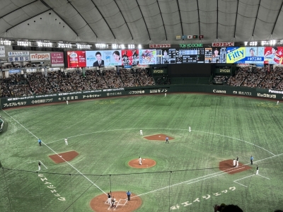 KAZUMI(ｶｽﾞﾐ) 野球観戦⚾️