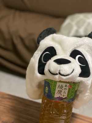 CHATARO(チャタロウ) 入ってくる!