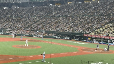 RURITO(ﾙﾘﾄ) 野球観戦って