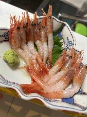 KONOSUKE(ｺｳﾉｽｹ) さしみ 楽しみ