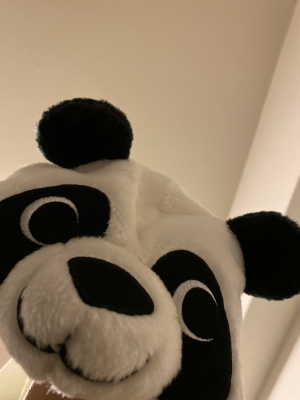 CHATARO(チャタロウ) 春?