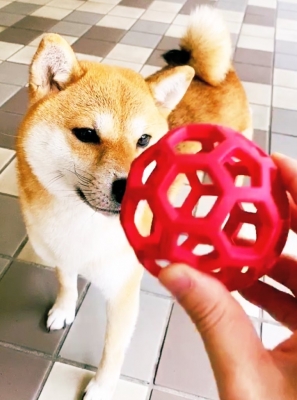 RYUJI(リュウジ) ありがと!おはよ!