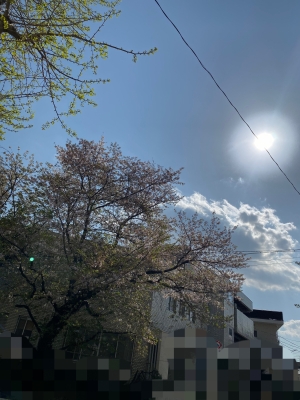 CHATARO(チャタロウ) 色々早いものですね。