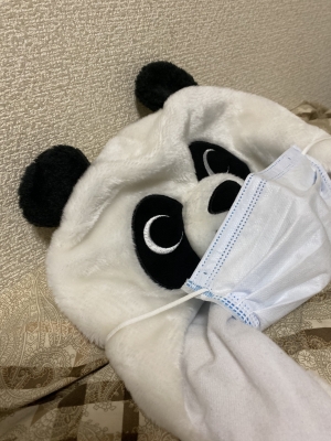 CHATARO(チャタロウ) 勉強!