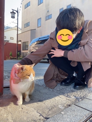 AKANE(アカネ) 猫