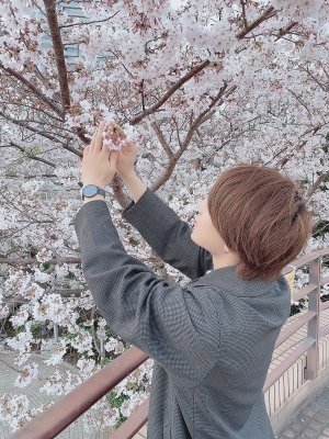 MOMO(モモ) 【モザイクなし】満開の桜を見ながら撮影してきました!