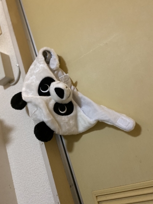 CHATARO(チャタロウ) 入れてくれ!!