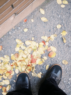 YUZU(ﾕｽﾞ) 落ち葉🍁