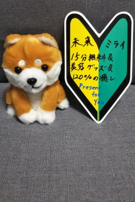 MIRAI(ミライ) 本日23時から(^-^)