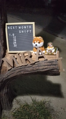 MIRAI(ミライ) 2021年1月のシフトです(^^)