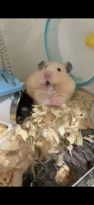 KOSAME(コサメ) 寒すぎる