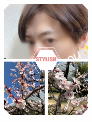 DAICHI(ダイチ) お礼です