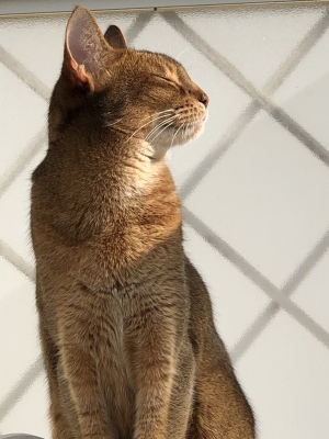 ASUKA(アスカ) 今日もありがとうございました✨