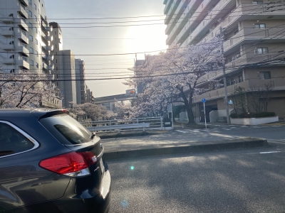 YUSHI(ユウシ) もうすぐ春ですね♪