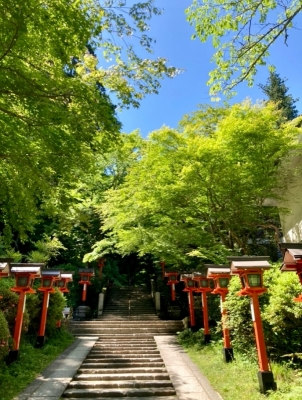 GION（ｷﾞｵﾝ） 小満