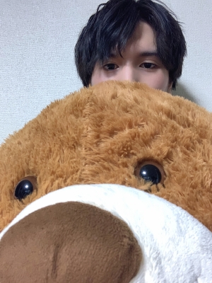 FUGA(フウガ) 巨大クマ