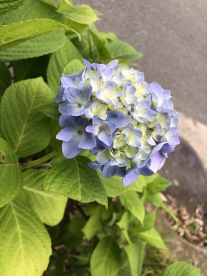 HIRO(ヒロ) ヒロです!