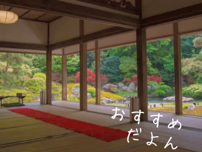 DAIKI(ダイキ) 【京都行きたし
