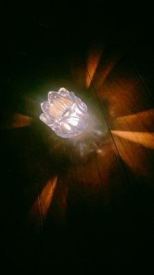 MAFUYU（ﾏﾌﾕ） 【ホスピタリティとは】