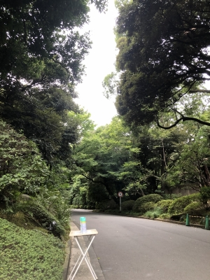 RUITO(ルイト) 休日
