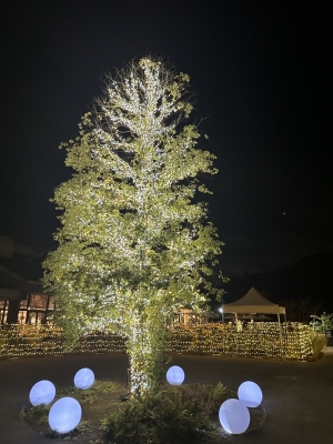 RURITO(ﾙﾘﾄ) はじめてに