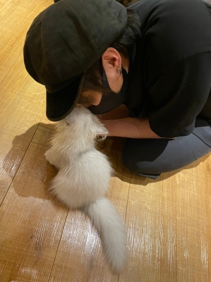 MIYU(ミユウ) 推し猫ちゃんです