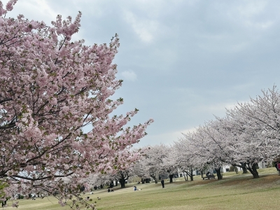 RURITO(ﾙﾘﾄ) 4月度ありがとうございました🫶
