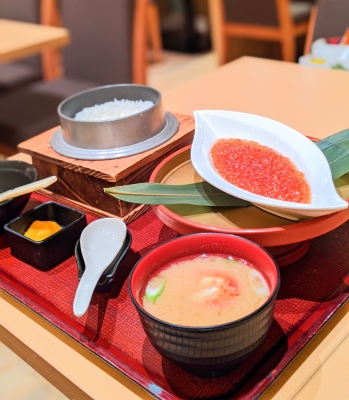 KONOSUKE(コウノスケ) 北海道バイバーイ