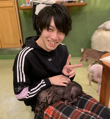 SHIN(シン) マイピッグカフェ