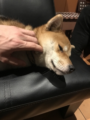 HIROAKI(ヒロアキ) 気付いてますか?