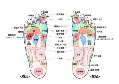 REO(ﾚｵ) 足つぼの効果