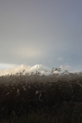 RYUUTO(ﾘｭｳﾄ) 富士山🗻