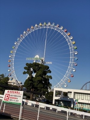 KOUYA（ｺｳﾔ） 観覧車☀️