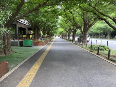 KANCHI(ｶﾝﾁ) 毎朝のルーティーン