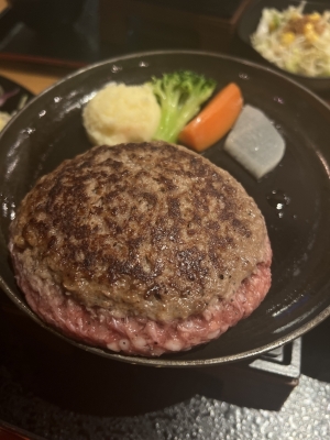 YUKAI(ﾕｶｲ) ハンバーグ食べたよー