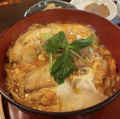 SHINSAKU(シンサク) モデル飯
