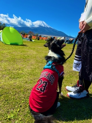 ATSUMU（ｱﾂﾑ） 顔面騎乗ソムリエの休日