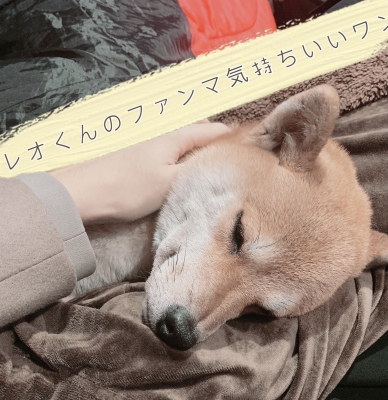 LEO(レオ) ダイキチも悶絶!?