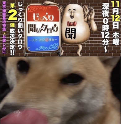 ARASHI(アラシ) じっくりコトコト