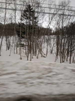 KONOSUKE(コウノスケ) 雪積もってる
