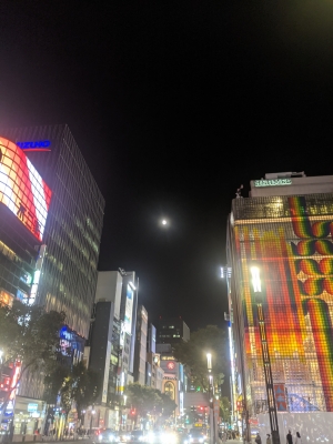 KONOSUKE(コウノスケ) 冬は夜が綺麗