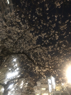 HIROAKI(ヒロアキ) 日付変わって今日