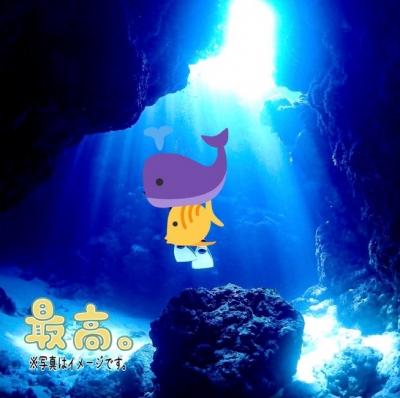 DAIKI(ダイキ) 【夏です☀️ダイビングやー❗️