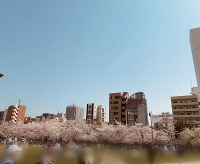 YOHEI(ヨウヘイ) 春