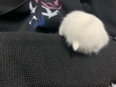 KOSAME(コサメ) もふもふ