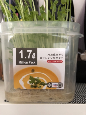 SHINOBU(シノブ) 入店してから初写メ日記(*´꒳`*)