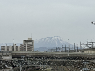 RURITO(ﾙﾘﾄ) おはようございます☀️
