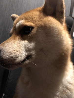 ASUKA(アスカ) お泊まりコースがおすすめ✨