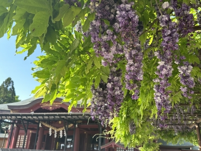 RURITO(ﾙﾘﾄ) 🍀⛩