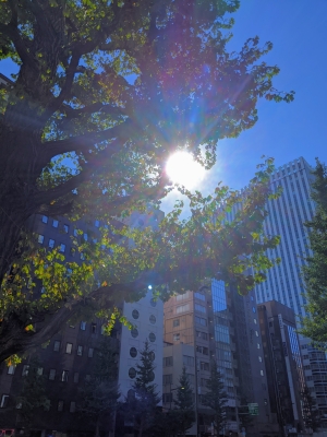 KONOSUKE(コウノスケ) 夏みたいに澄んだ空